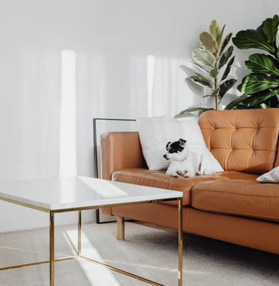 bi.interiors