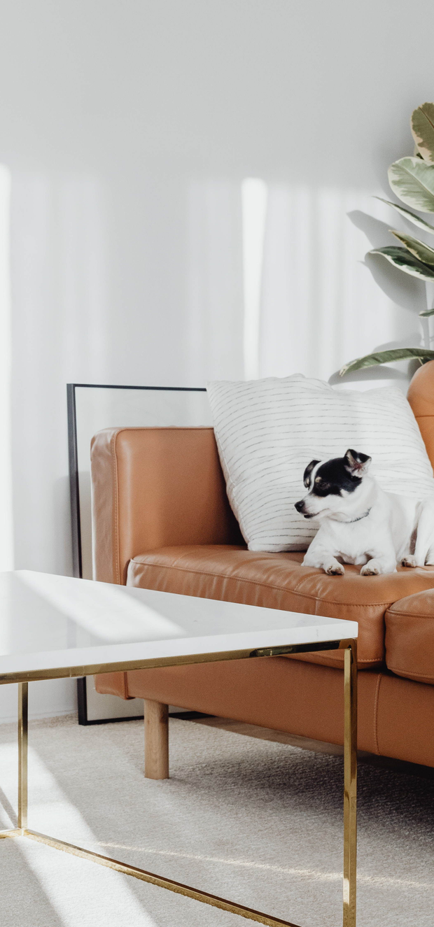 bi.interiors